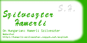 szilveszter hamerli business card